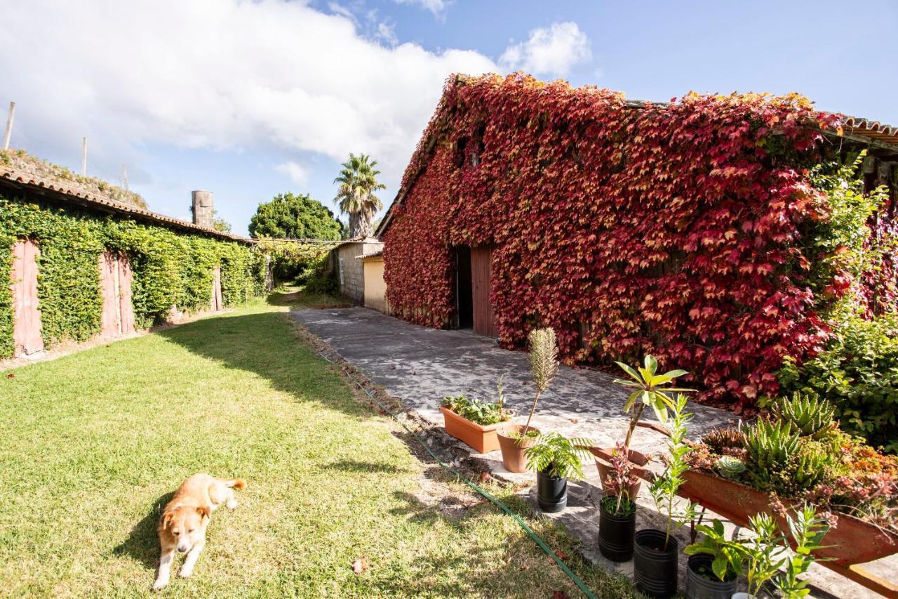פונטה דה לימה Casa Da Varzea מראה חיצוני תמונה